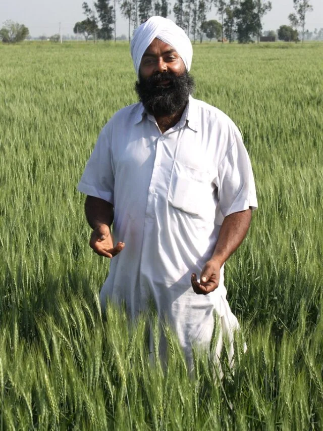 PM Kisan FPO | सरकार देत आहे शेतकऱ्यांना 15 लाख रुपये, 13 व्या हप्त्यापूर्वी घोषणा, अर्ज कसा करायचा ते जाणून घ्या