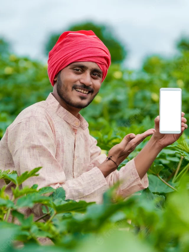PM Kisan : तुमचा 12 वा हप्ताही अडकला असेल तर या सोप्या पद्धतीने लगेच शोधा