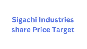 Sigachi Industries share Price Target